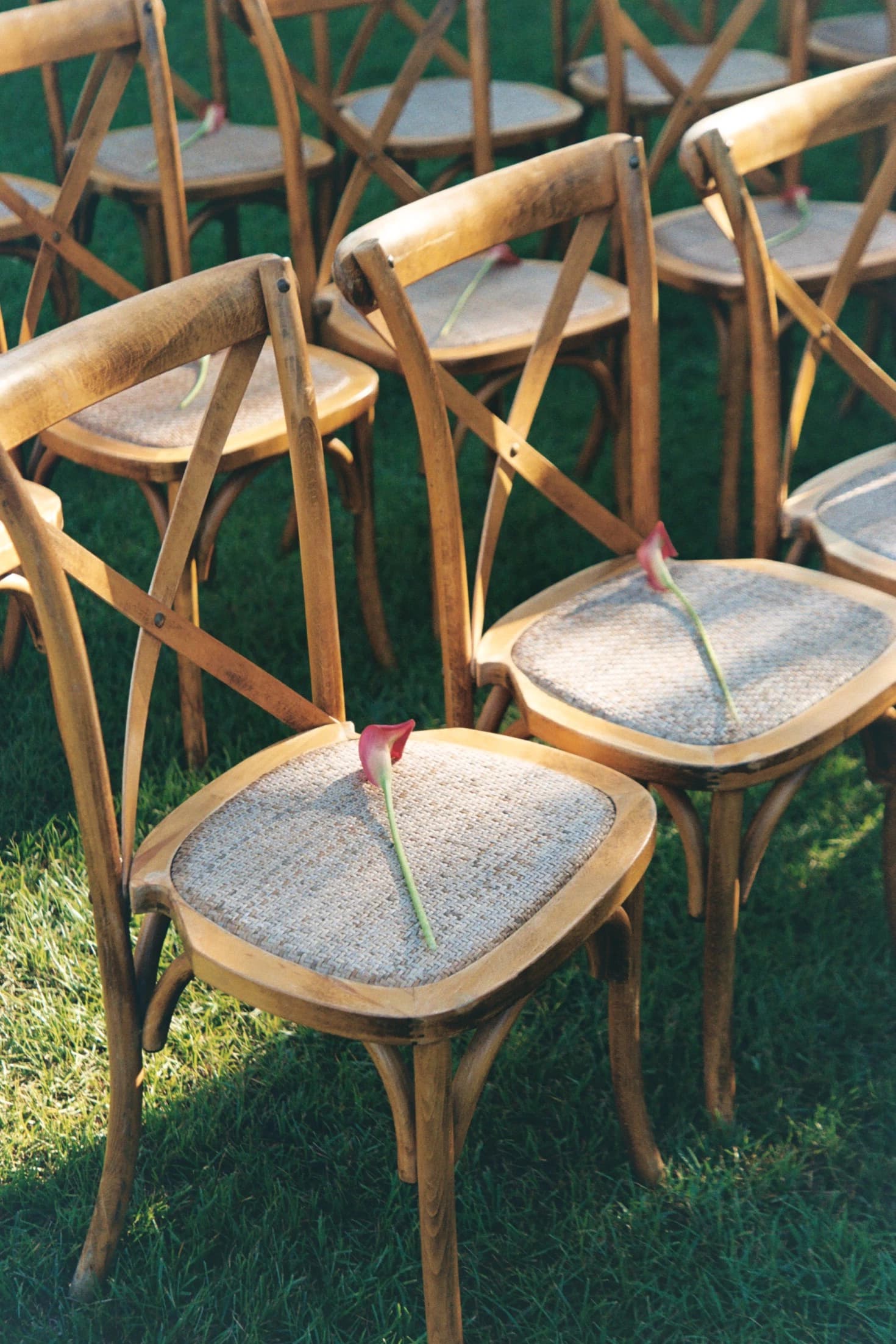 Sillas de madera preparadas para la ceremonia