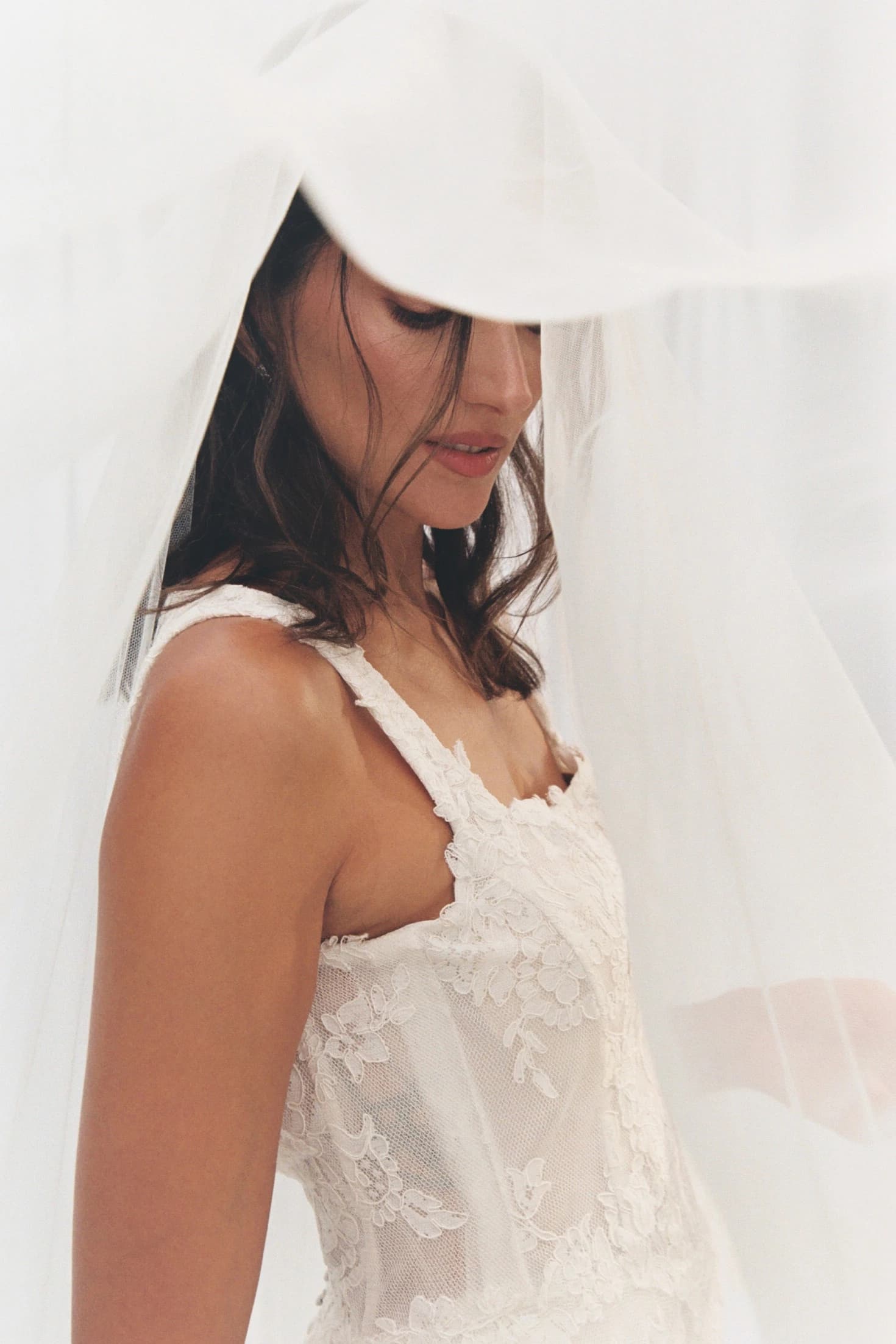 Retrato de la novia bajo un velo transparente